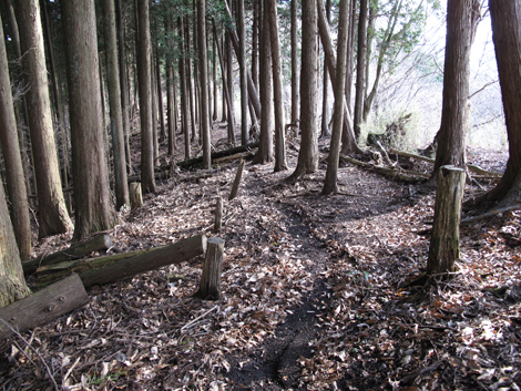 20161216hike (303)